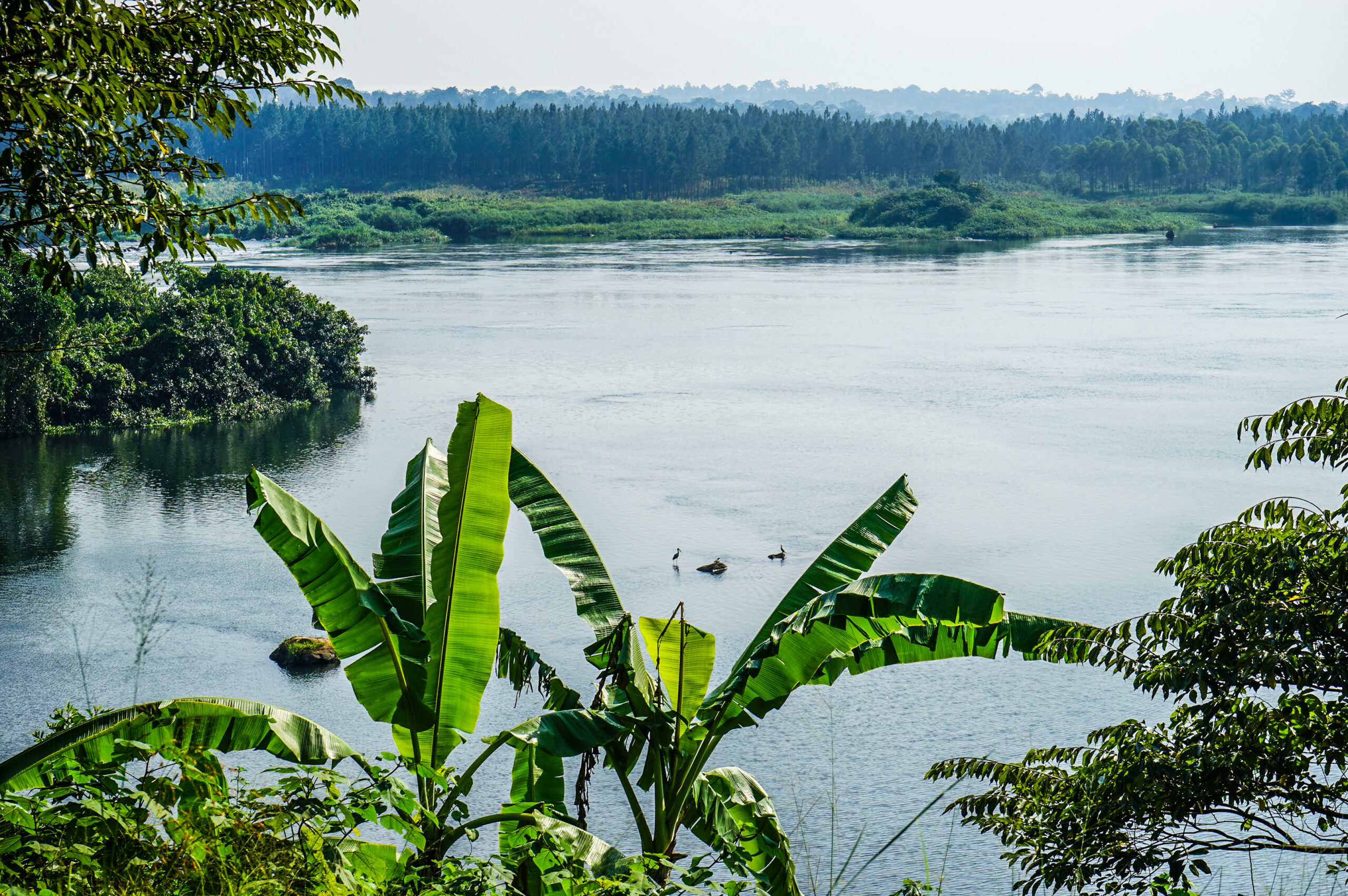 River Nile at Jinja